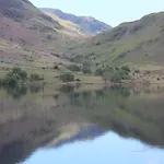 Perky Pike