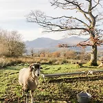 Lakeland View