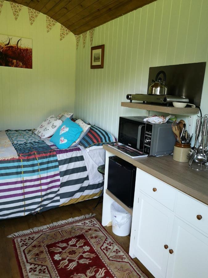 Shepherds Hut Dolly Wagon Farm stay Keswick (Cumbria)