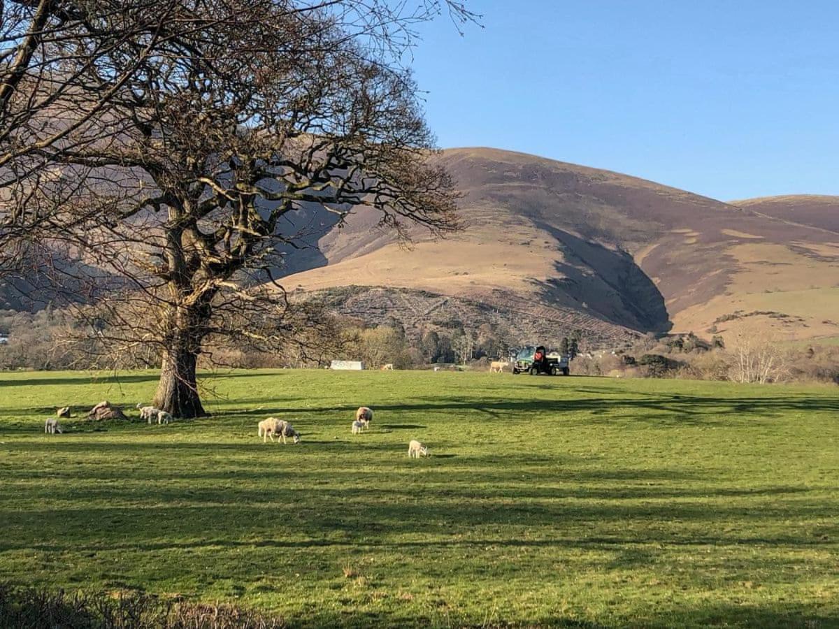 Holiday home Burnside Park - Osprey Keswick (Cumbria)