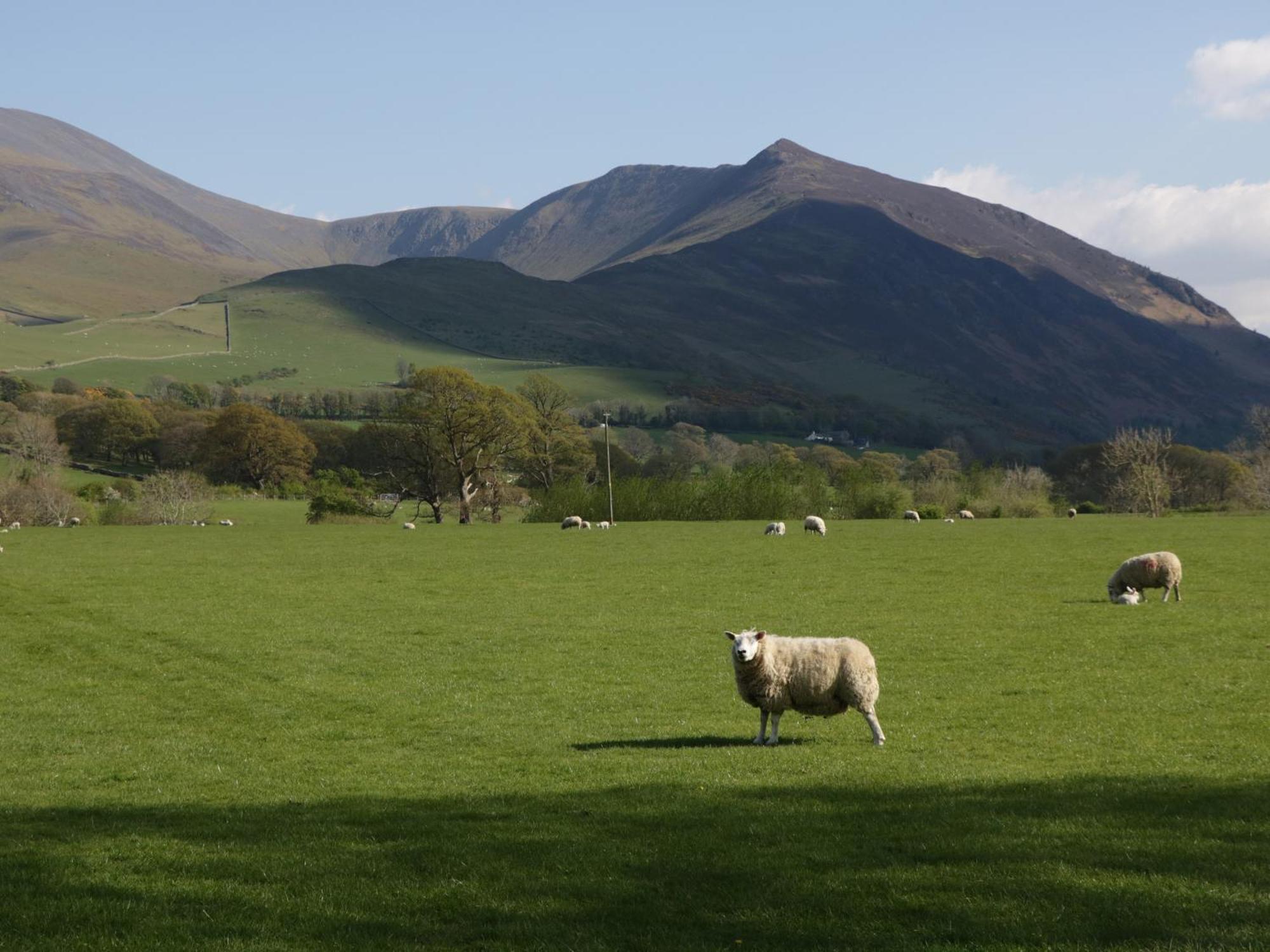 4 Apartment Keswick (Cumbria)