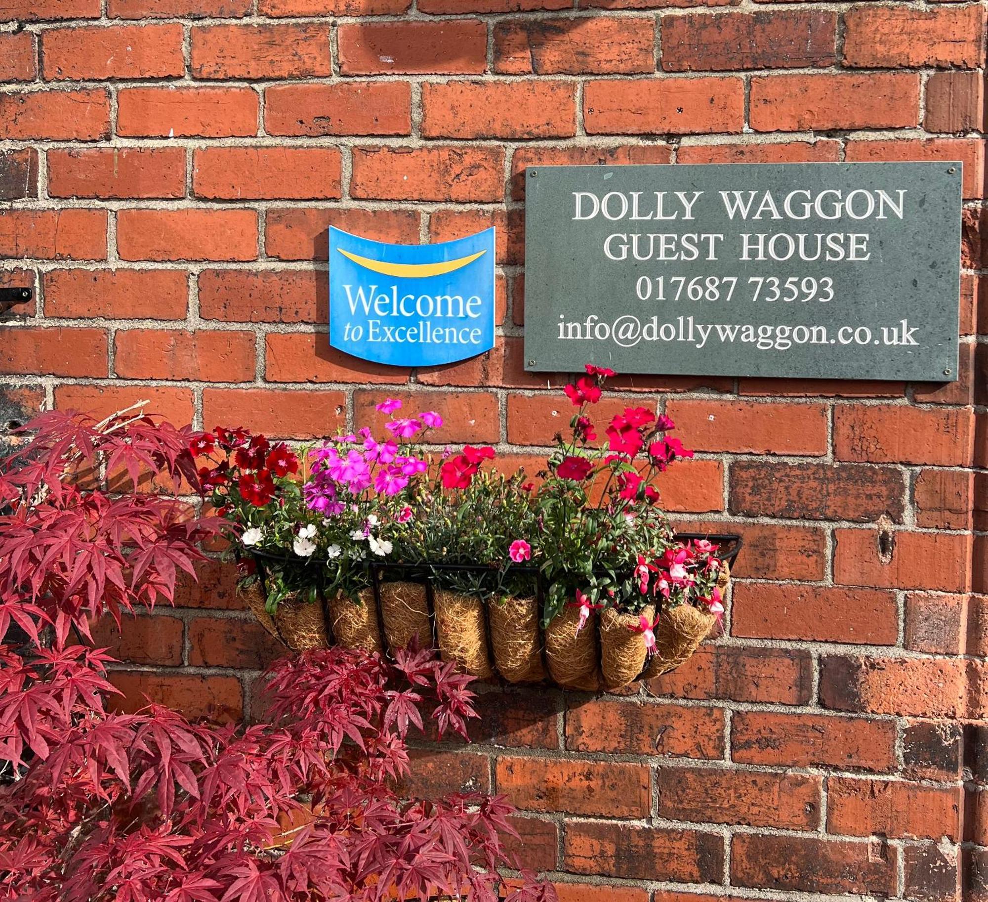 Dolly Waggon 3*