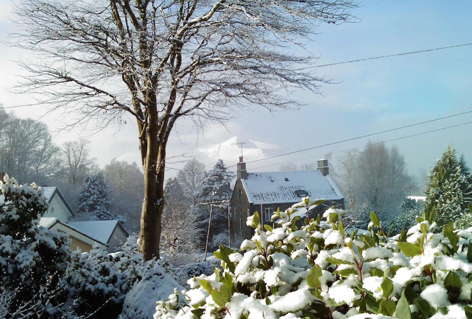 Pinecroft Holiday home *