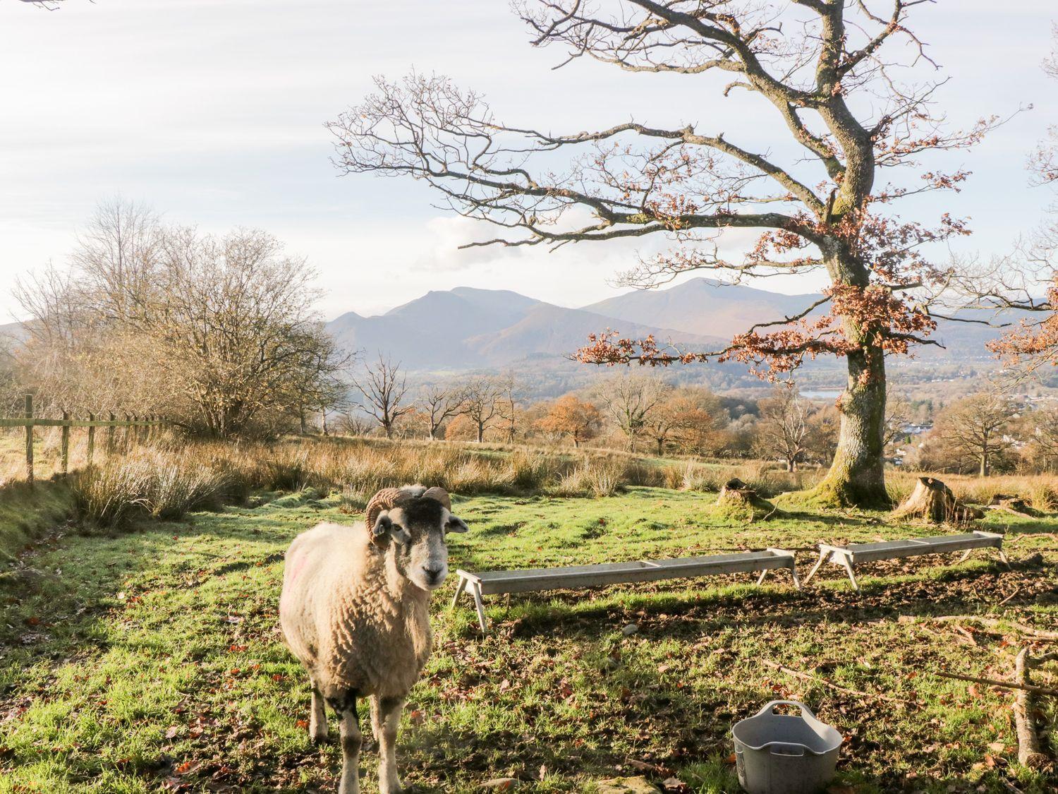 Lakeland View * Keswick (Cumbria)