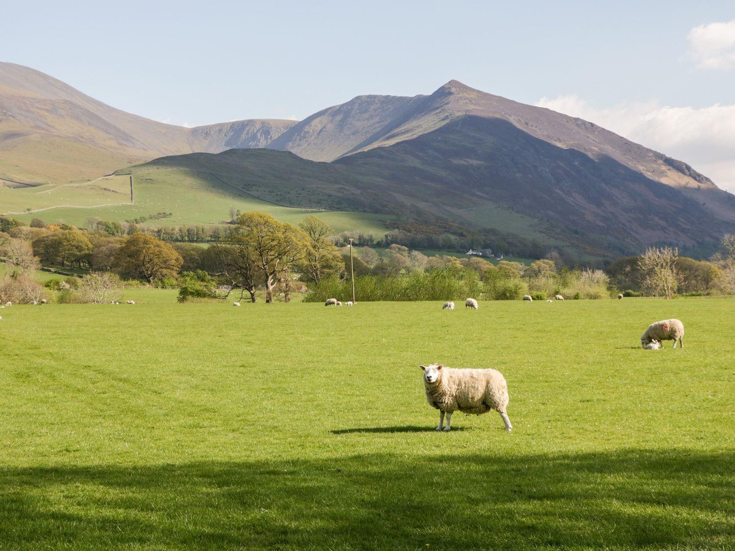 Lakeland View *