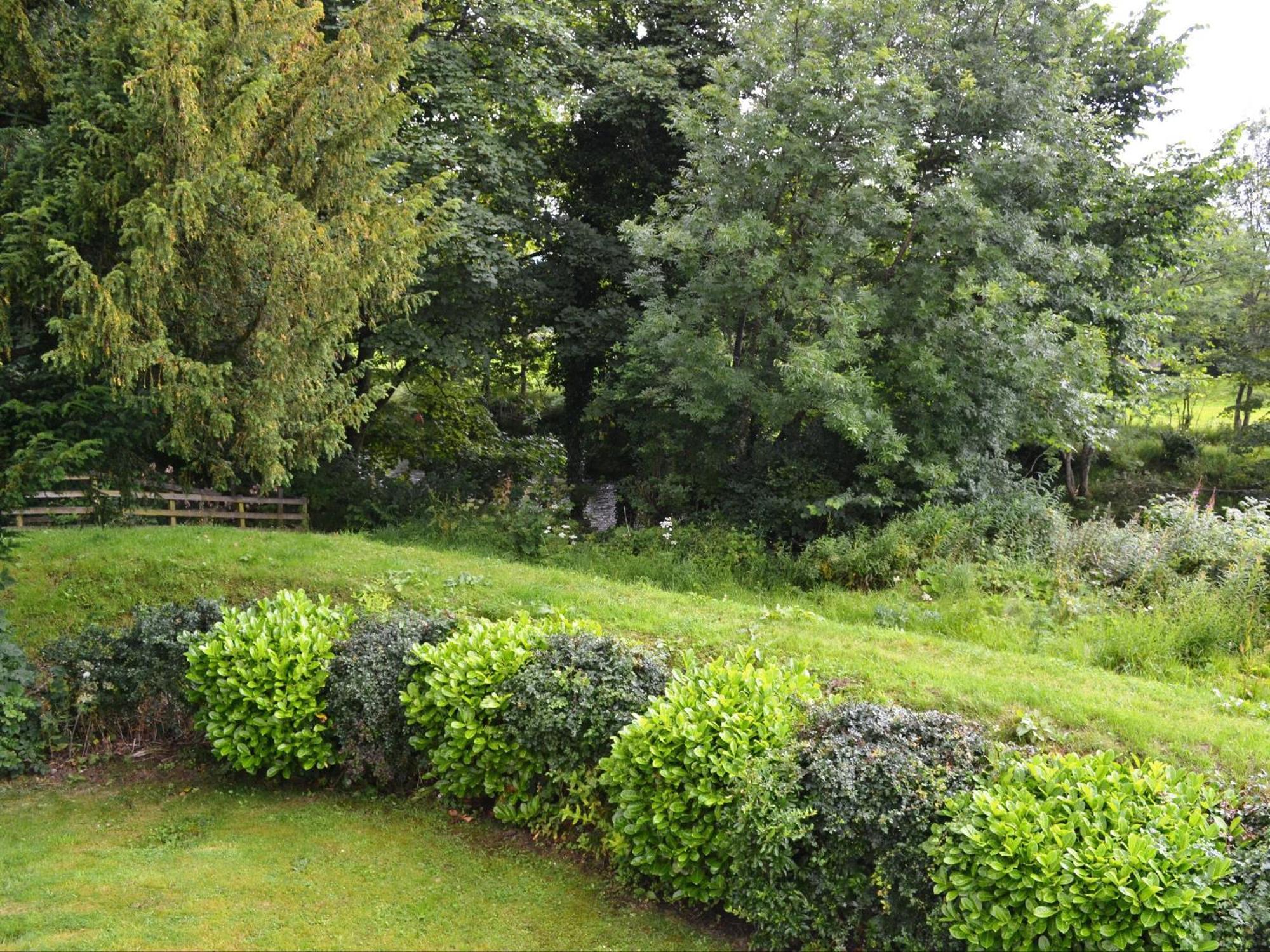 Elm Court 7