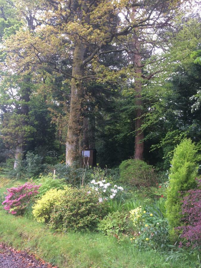 Claremont House Keswick 4*