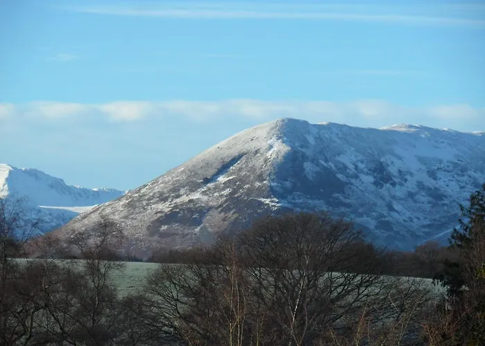 Lane Rigg